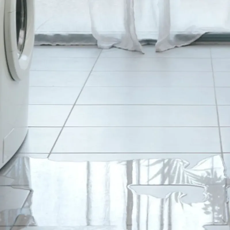 Appliance Leak Cleanup in Sun Prairie, WI