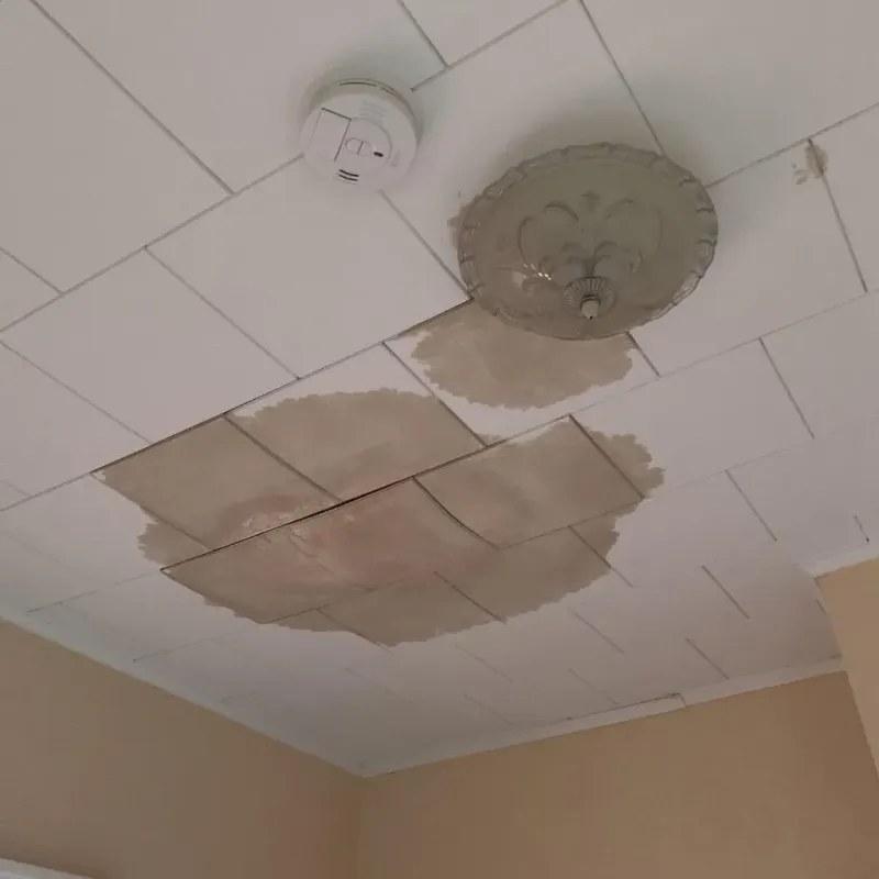 Ceiling Water Damage Repair in Sun Prairie, WI